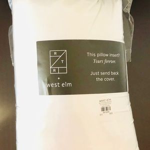 West Elm Pillow Insert